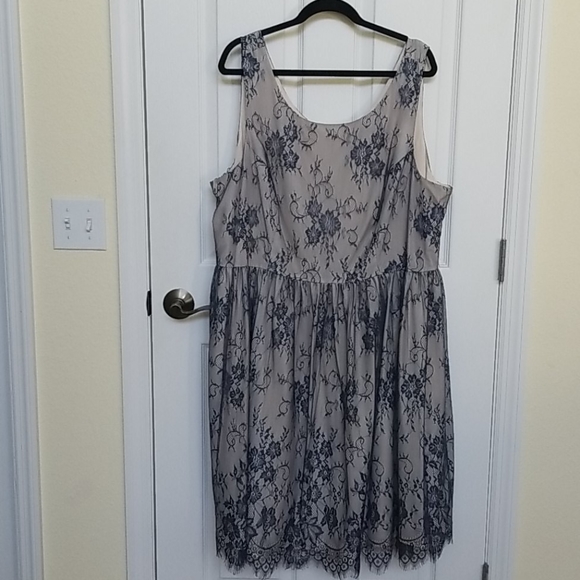 Modcloth Dresses & Skirts - Modcloth Navy Lace Dress 3X